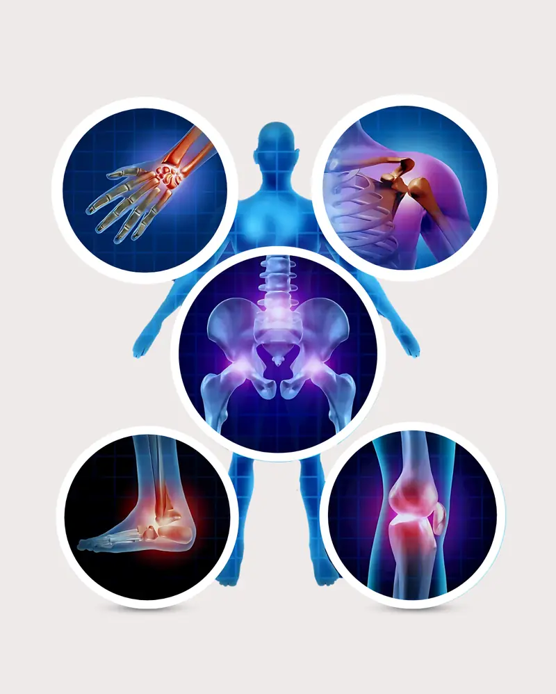 Orthopedic care across joints — knee, hip, shoulder, wrist, ankle and spine